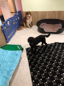 Dortoir L'empreinte crèche pour chien à La Walck