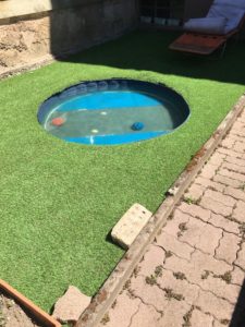 Piscine de L'empreinte crèche pour chien à La Walck